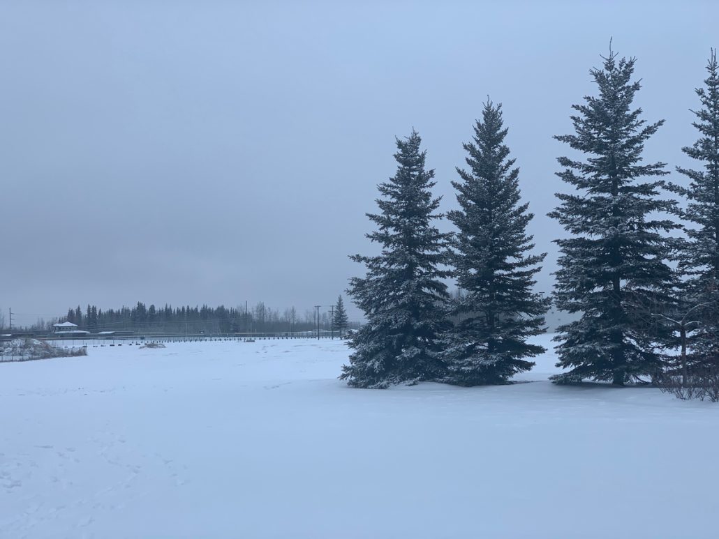 Wainwright Airport (AIN, PAWI) Private Jet Charter Aircraft Hire