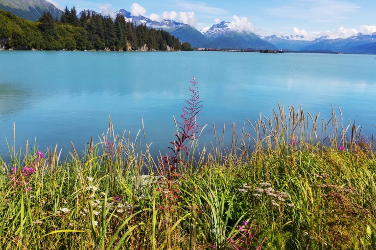 Valdez Municipal Airport (VDZ, PAVD) Private Jet Charter Aircraft