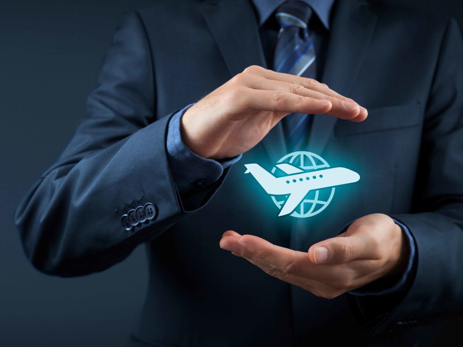 hands holding a globe with a plane