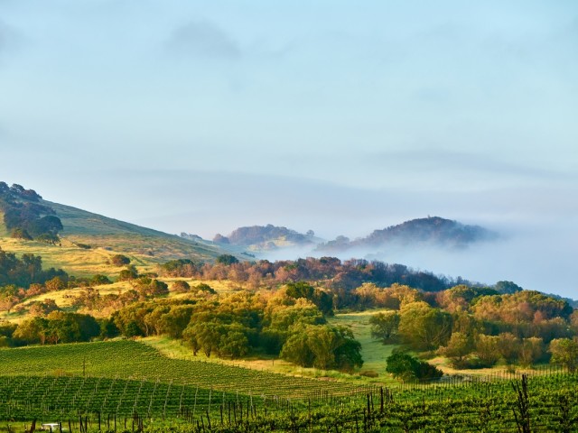 Napa Valley Private Jet Charter