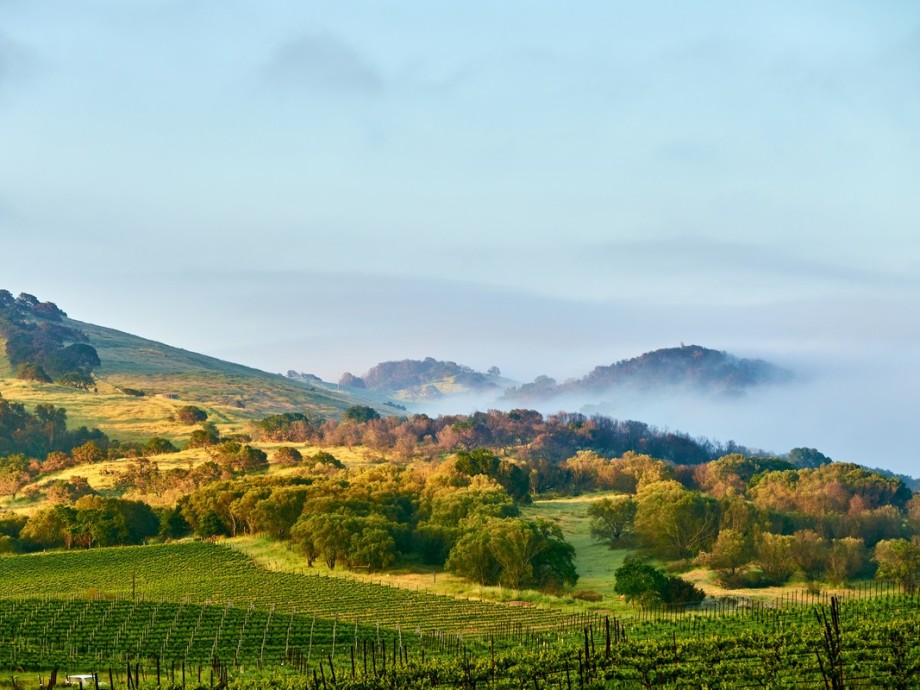 Napa Valley Private Jet Charter Napa Valley Private Jet Charter