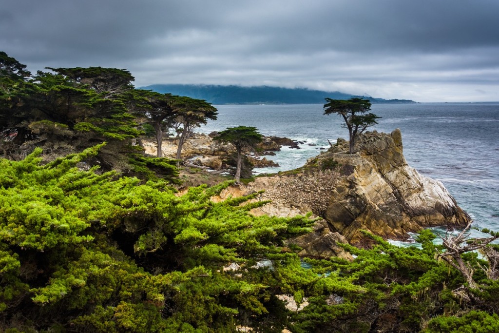 Pebble Beach Private Jet And Air Charter Flights