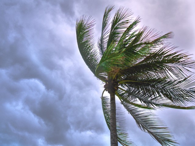 Earthquake - Private Air Charter To Resupply Haiti