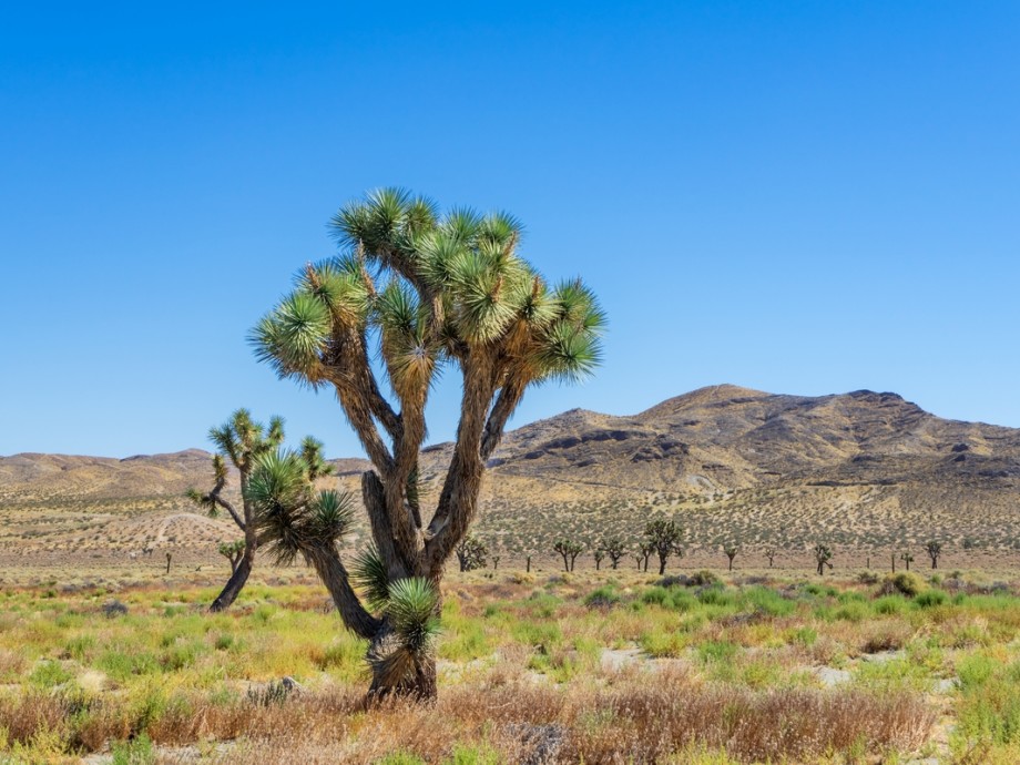 Adelanto, CA Private Jet Charter Adelanto, CA Private Jet Charter