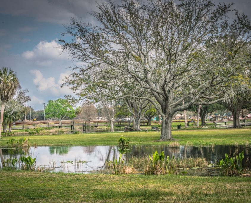 Leesburg, FL Private Jet Charter Leesburg, FL Private Jet Charter