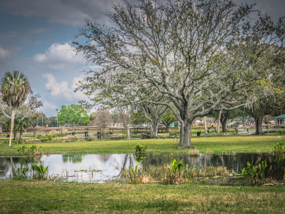 Leesburg, FL Private Jet Charter Leesburg, FL Private Jet Charter