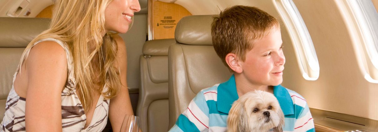 How to Do San Francisco with Your Pet An On-Demand Private Jet Charter and Pet-Friendly Restaurants