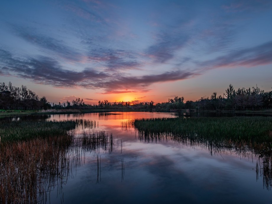 Sweetwater, FL Private Jet Charter Sweetwater, FL Private Jet Charter