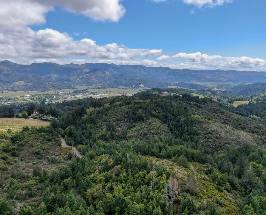 Angwin Private Jet Charter Angwin Private Jet Charter