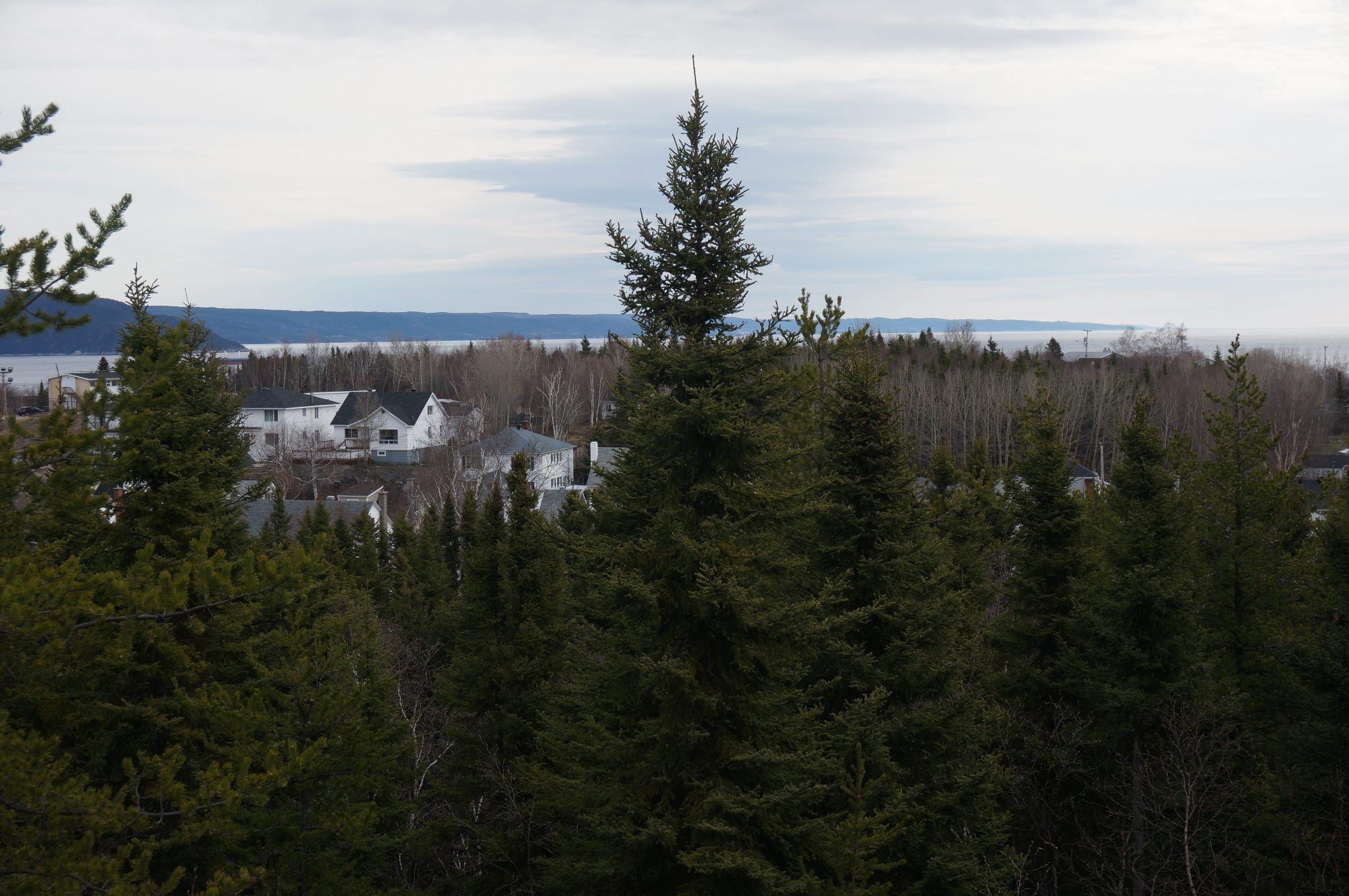 YBC Private Jet Charter Airport