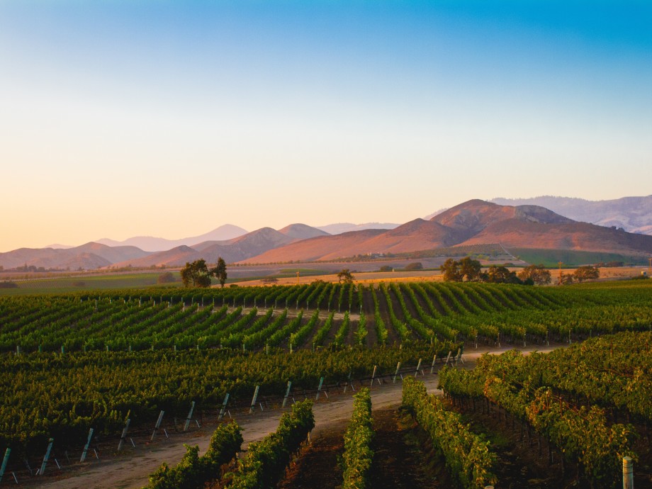 Santa Ynez Private Jet Charter Santa Ynez Private Jet Charter