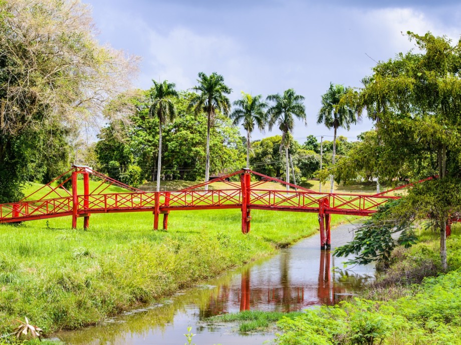 Suriname Private Jet Charter Suriname Private Jet Charter