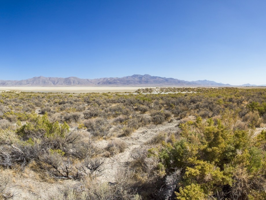 Black Rock City, NV Private Jet Charter Black Rock City, NV Private Jet Charter