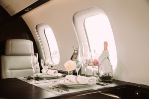 In-Flight Services