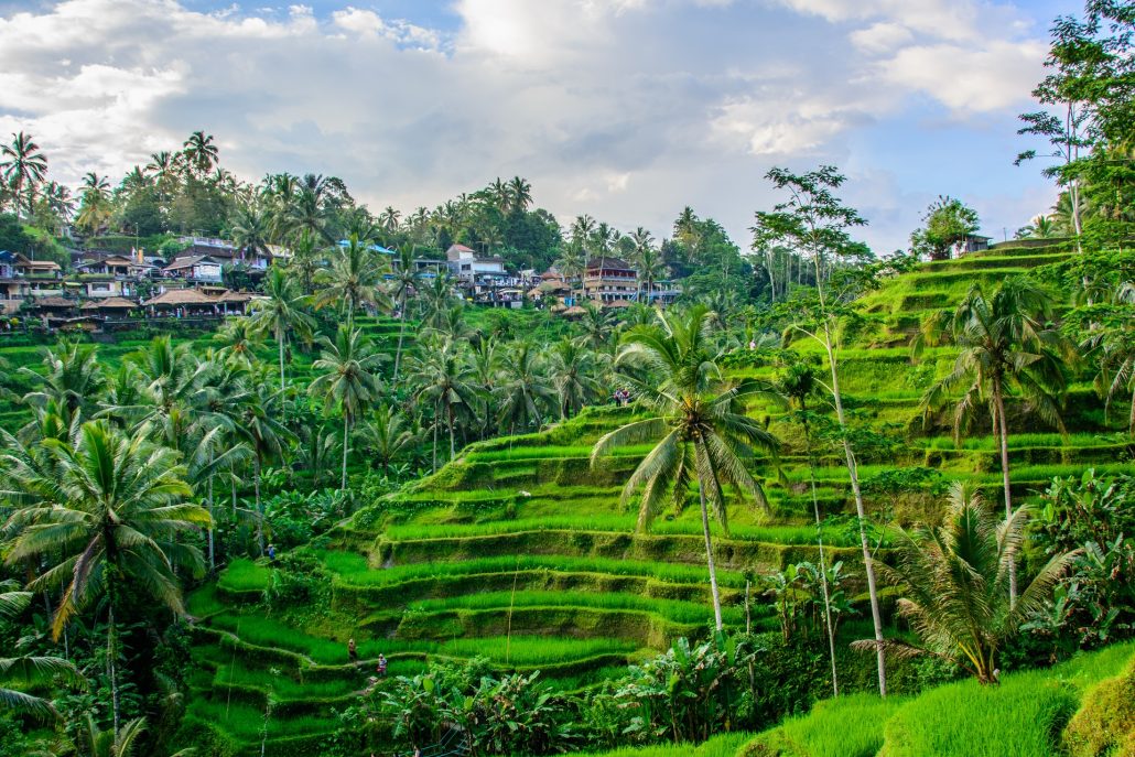 Ubud Private Jet Charter